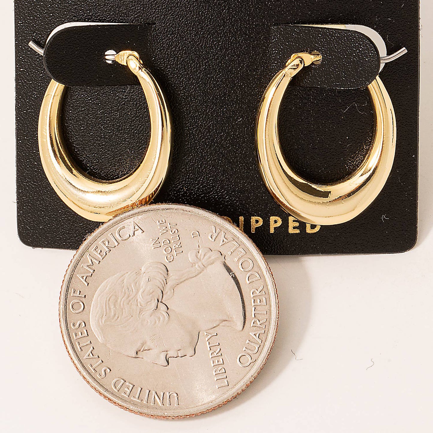 Gold Dipped Mini Oval Pincatch Hoop Earrings: S