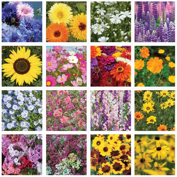 Help Pollinators - Pollinator Wildflower Seed Packets