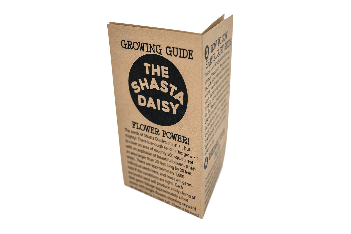 Shasta Daisy | Flower Seed Grow Kit