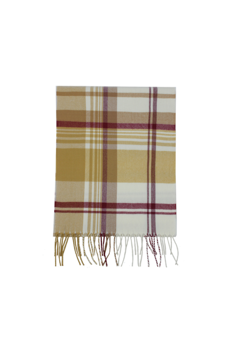 Softer than Cashmere Scarve