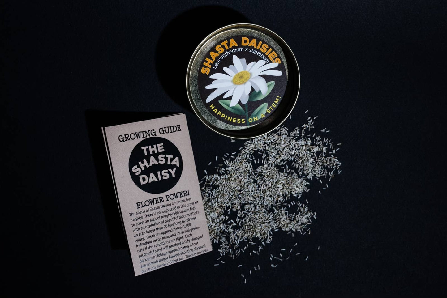 Shasta Daisy | Flower Seed Grow Kit