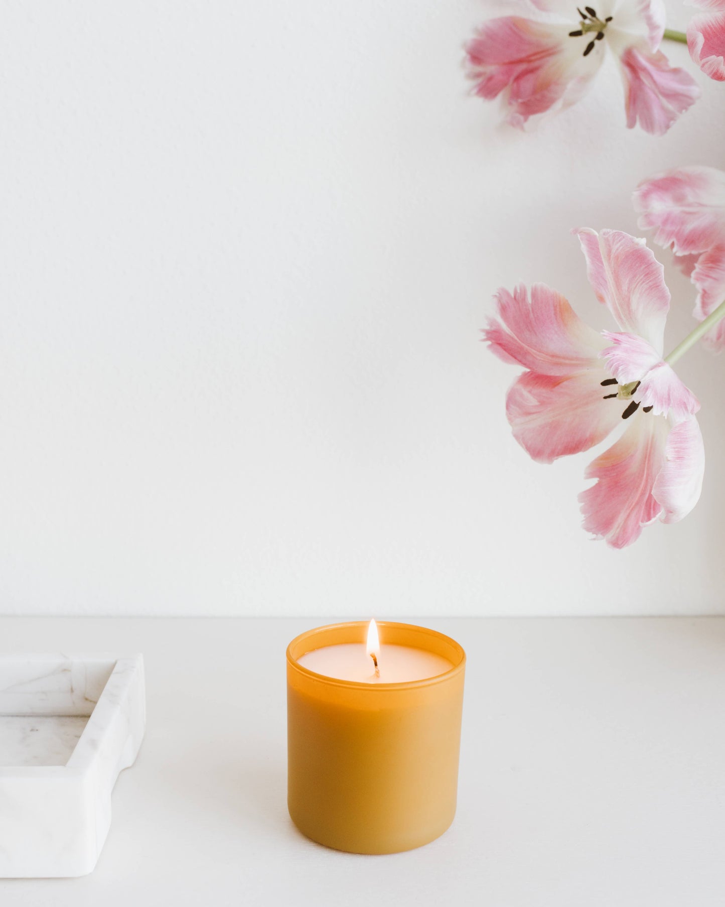Vetiver + Tonka Dignity Series Soy Candle