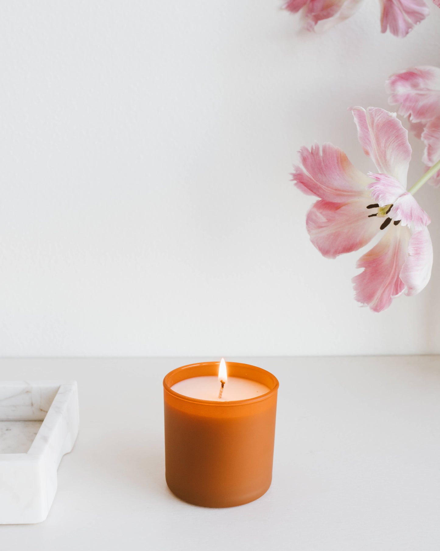Cedar + Tobacco Dignity Series Soy Candle