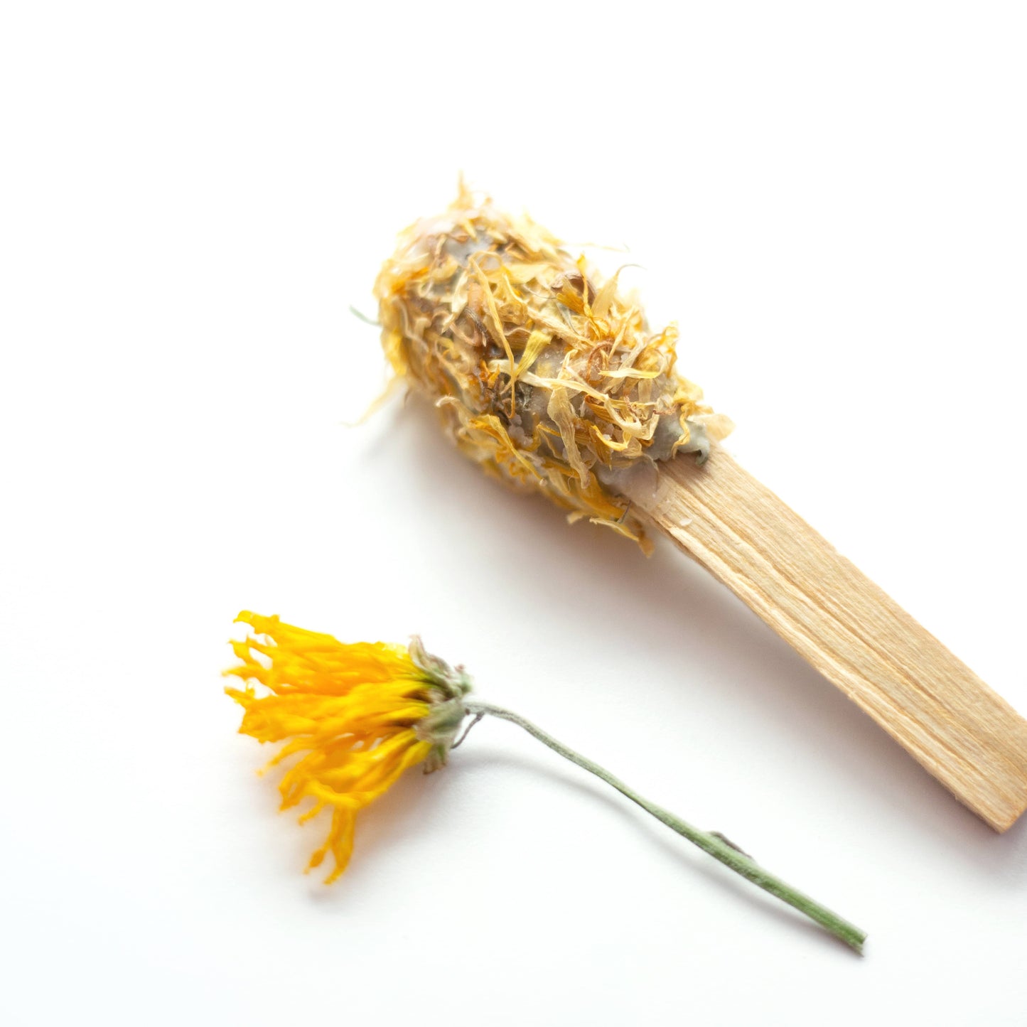 Smudgesicle • Cleansing Wand ⎮ Mixed Assortment