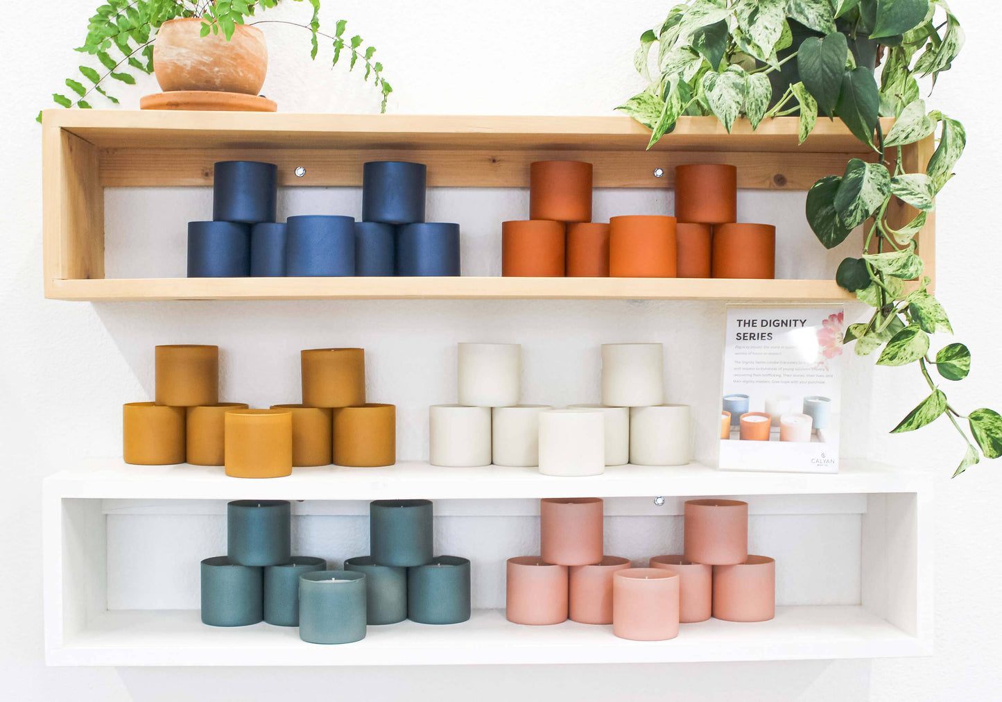 Cedar + Tobacco Dignity Series Soy Candle